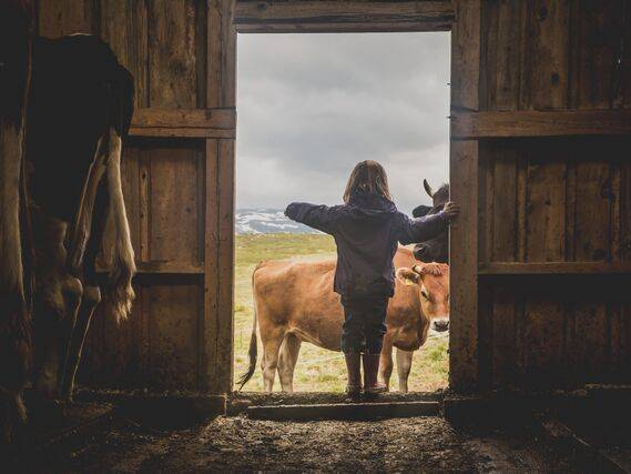 En jente står i fjøsdøra og ser ut på en åker med kyr, med armene utstrakt mot dyrene.