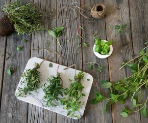 Friske urter som timian, rosmarin og mynte ligger på et trebord, klare til bruk eller oppbevaring.