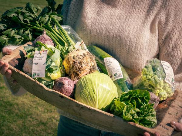 Økologiske grønnsaker fra Vilje.