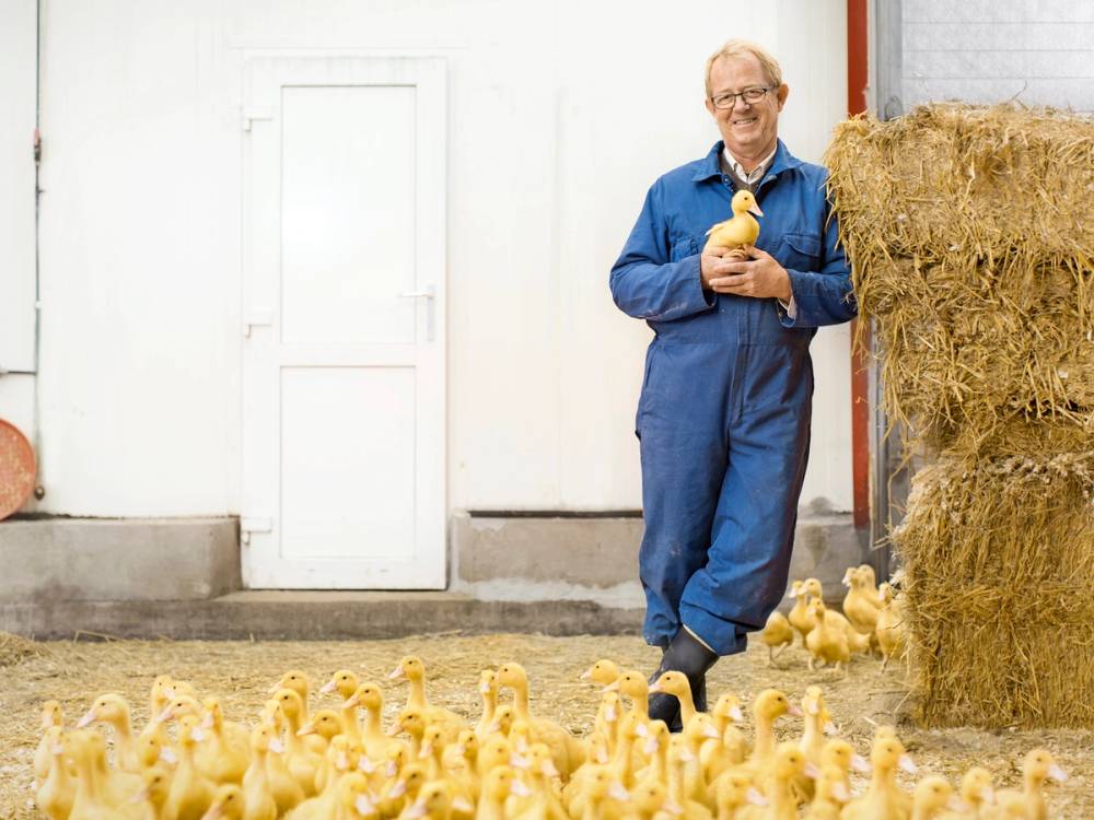 En person i blå arbeidsdress holder en kylling på verandaen med høye halmballer ved siden av.