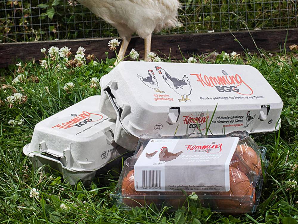 Eggkartong med egg og en pakke med kyllingegg på gress med blomster og gjerde i bakgrunnen