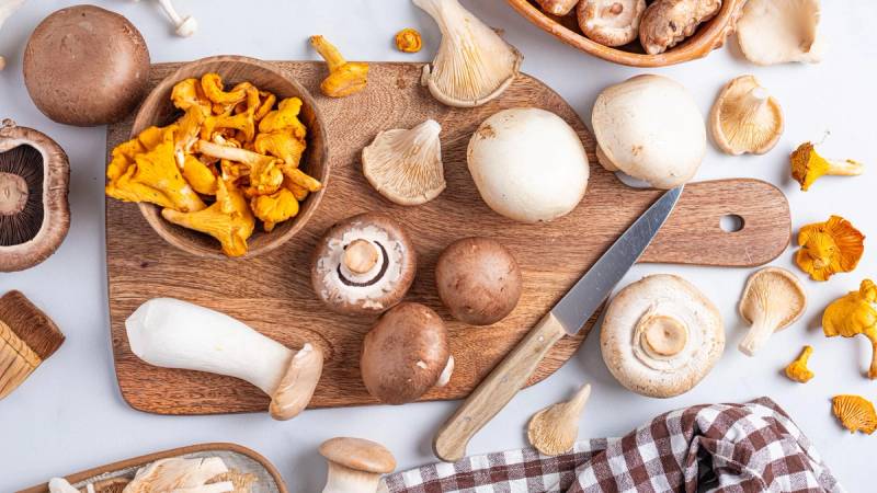 Sopp samlebilde