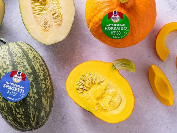 Ulike gresskar- og melonbiter på et hvitt underlag, inkludert en hel liten gresskar og en halvert gresskar, samt en vannmelon og en gul melon, alle med etiketter.