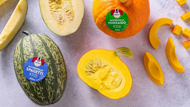 Ulike gresskar- og melonbiter på et hvitt underlag, inkludert en hel liten gresskar og en halvert gresskar, samt en vannmelon og en gul melon, alle med etiketter.