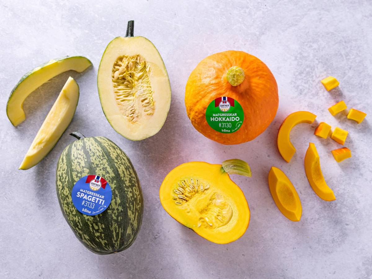 Ulike gresskar- og melonbiter på et hvitt underlag, inkludert en hel liten gresskar og en halvert gresskar, samt en vannmelon og en gul melon, alle med etiketter.