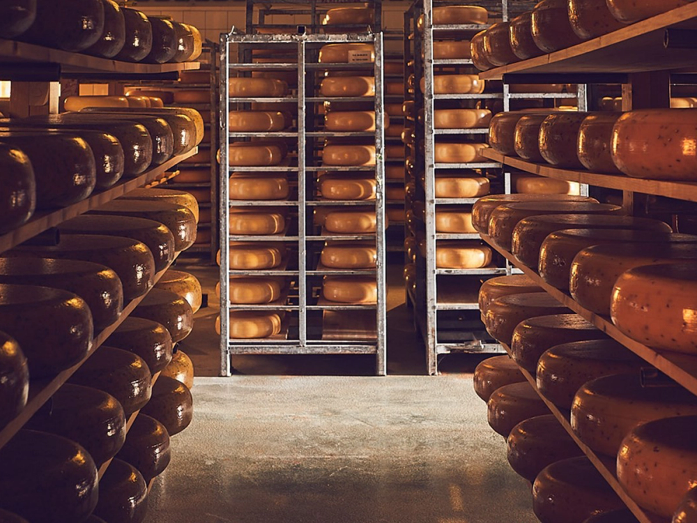 Lagre av Valdres-ost i en vinkjeller med hyller fylt med oster på begge sider og en åpen dør i midten.