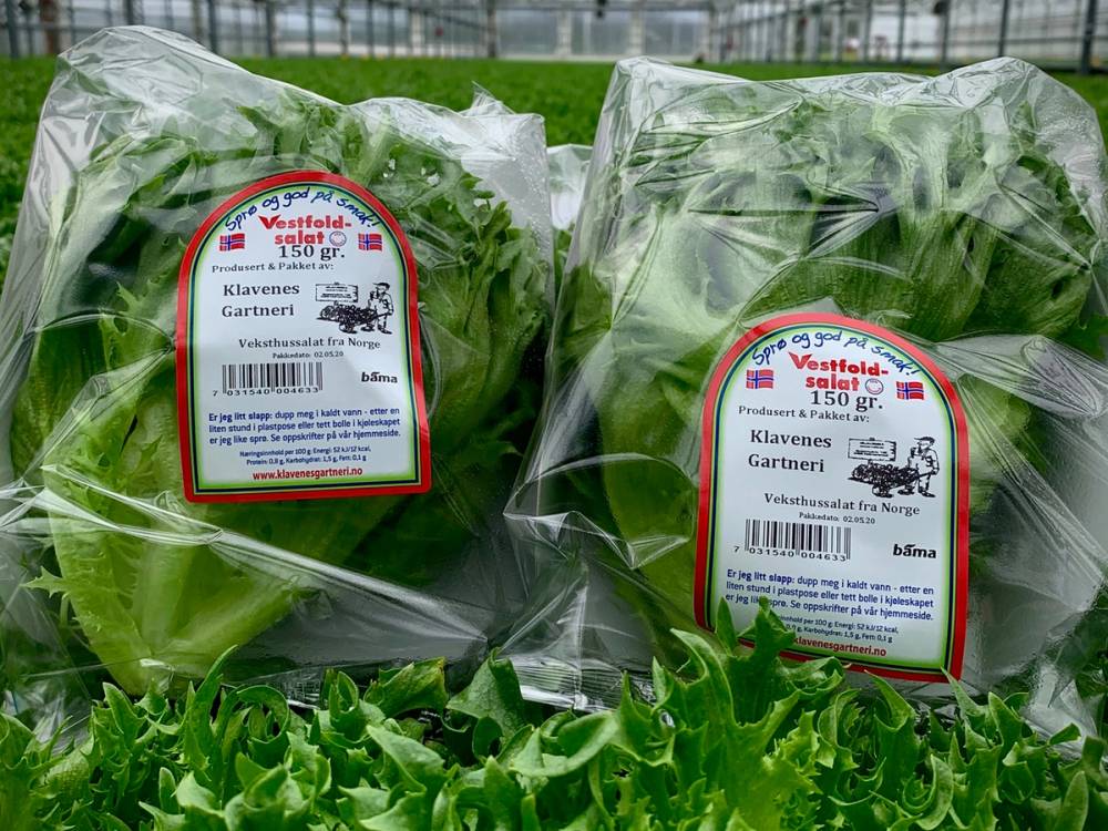 To poser med Vestfoldsalat pakket i plast, plassert blant andre salatblader i en butikkhylle.