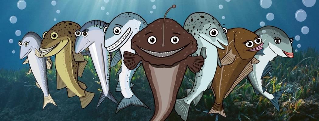 Samlebilde av fiskene i MENYs Fiskeknappen-konsept.