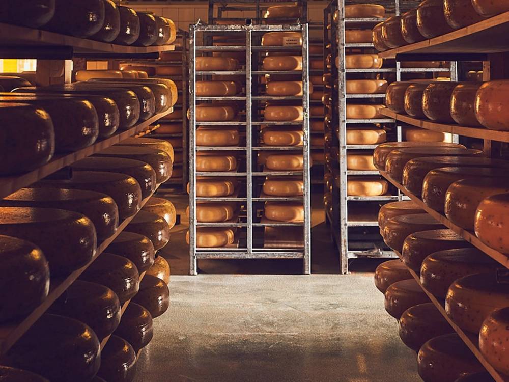 Rader med lagrede oster i et ostelager, med hyller fylt med ostekar og en dør i midten.