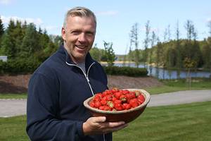 Person holder en skål med jordbær utendørs på en grønn plen med trær og vann i bakgrunnen.