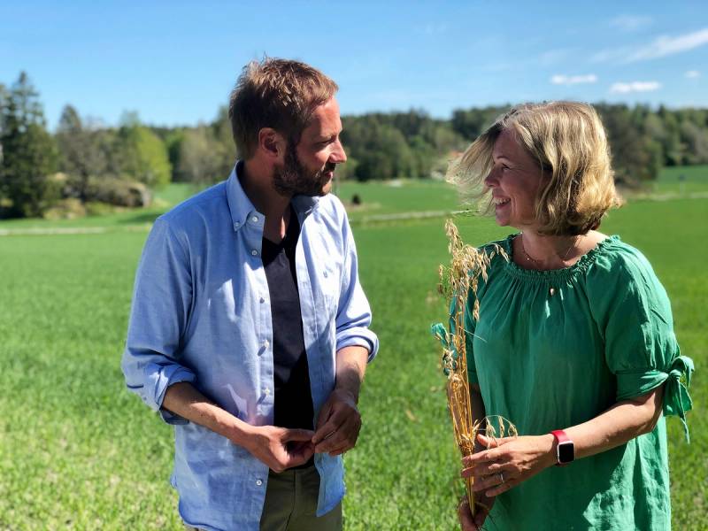 To personer står i en grønn eng med trær i bakgrunnen, og en av dem holder en lang, tørr plante eller strå i hendene.