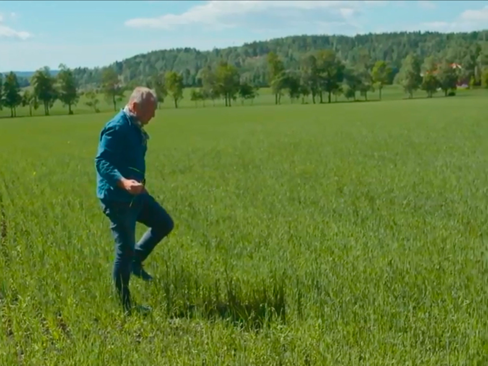 En mann går i en grønn eng med trær og åser i bakgrunnen på en solrik dag.