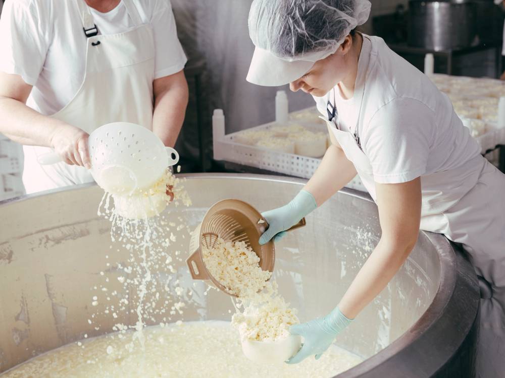 To personer som jobber med å helle ostemasse i en stor kasse på en gård, med fokus på prosessen i matproduksjonen.