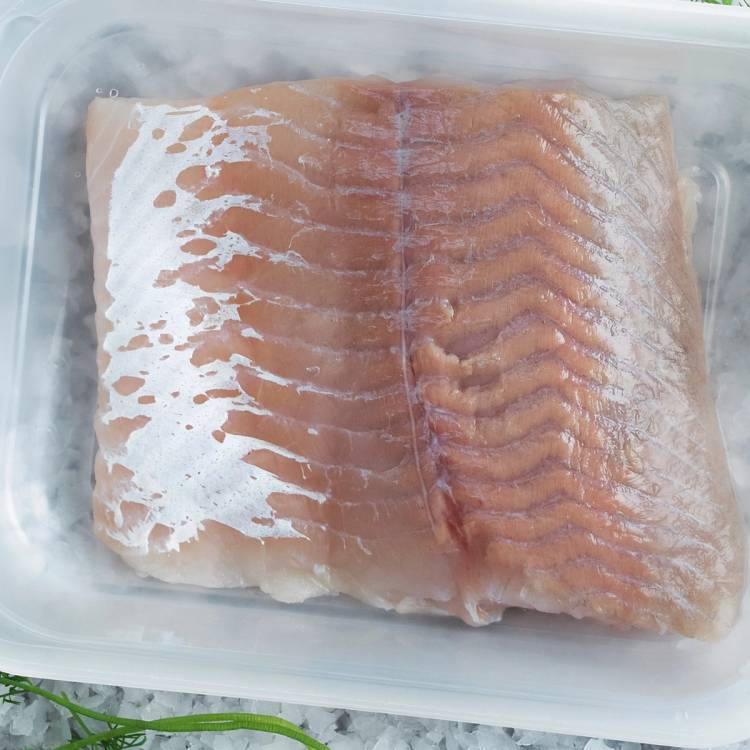 Frossen sei i en plastboks, klar til tilberedning eller til å bli tint.