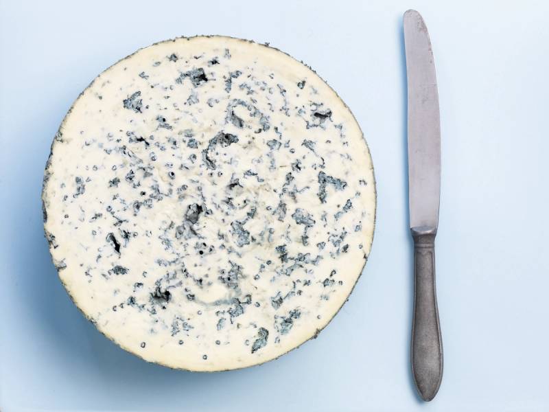 En rund blåmuggost med blå muggsporer og en ostehøvel ved siden av på en lys bakgrunn.
