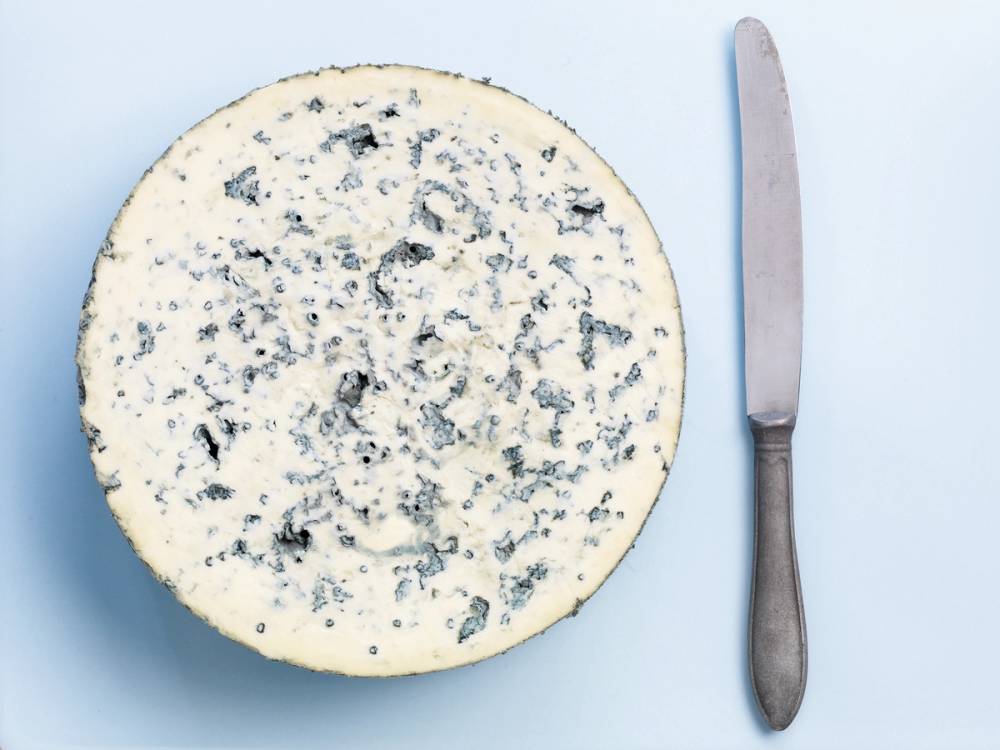 En rund blåmuggost med blå muggsporer og en ostehøvel ved siden av på en lys bakgrunn.