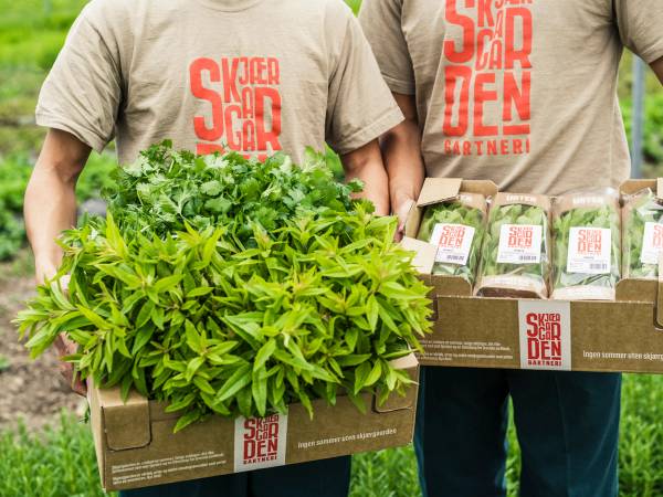 To personer holder hver sin eske med urter, med flere grønne urter i den ene og små pakker med urter i den andre, på en utendørs setting.