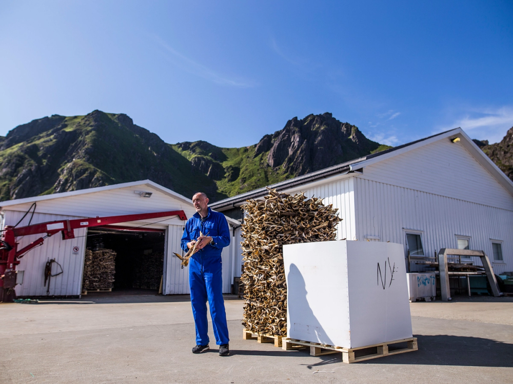 En mann i blå arbeidstøy står foran en bygning med stabler av fisk og trelast, med fjell i bakgrunnen.