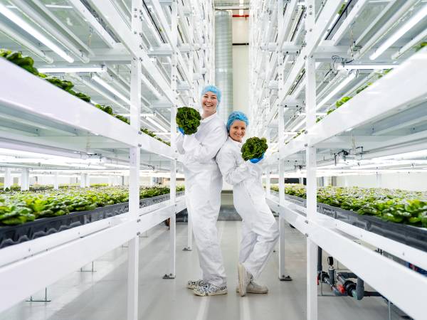 To personer i hvite arbeidsklær og hårnett står i et innendørs landbruksanlegg med grønne planter på hyller rundt seg.