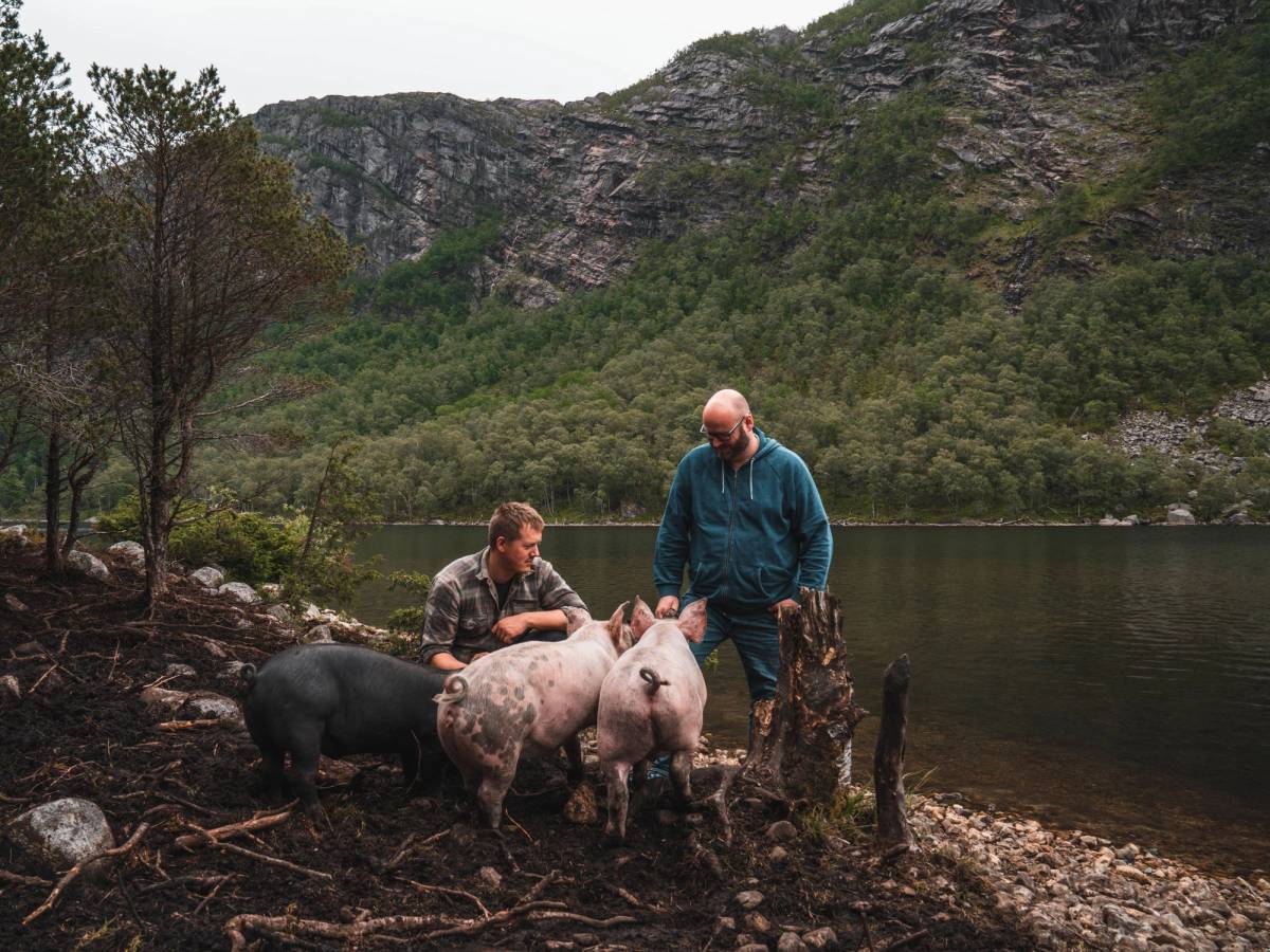 To personer med to griser ved en innsjø omgitt av fjell og skog på Bjuland gård.