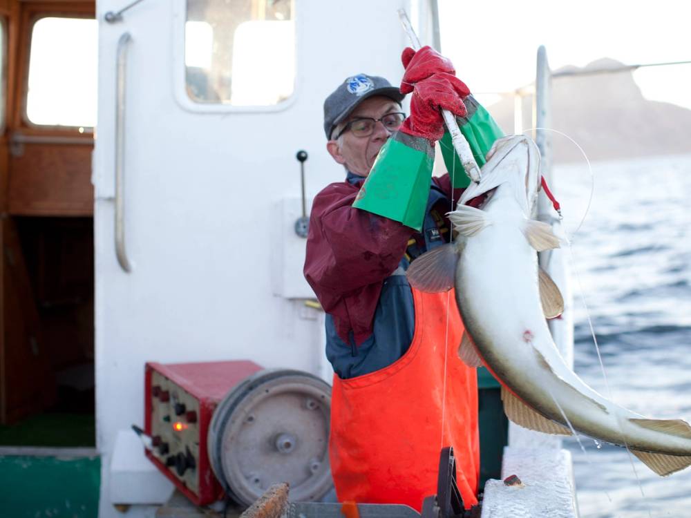 Barn som holder opp en stor skrei-fisk på en båt, med sjø og deler av båten i bakgrunnen.