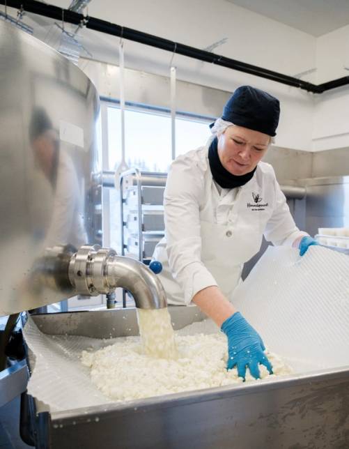 En person i hvit kokkeuniform og blå hansker jobber med ost i et produksjonsmiljø, med store maskiner og vindu i bakgrunnen.