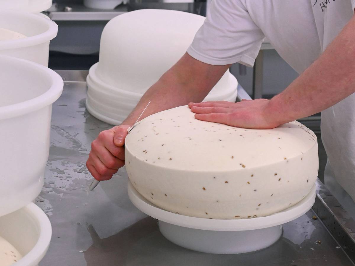 Person som håndformer en stor rund ost på et arbeidsbord i et ysteri.