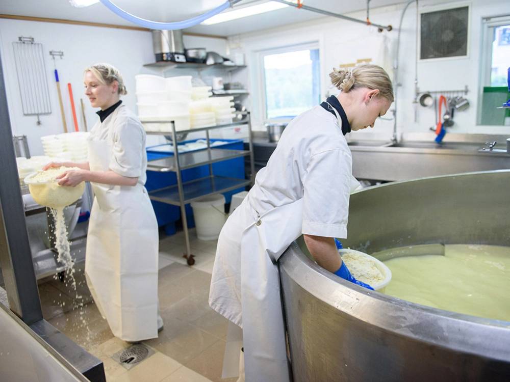 To personer i hvite kokker jobber med ystepiker i et kjøkken, en av dem rører i en stor gryte.