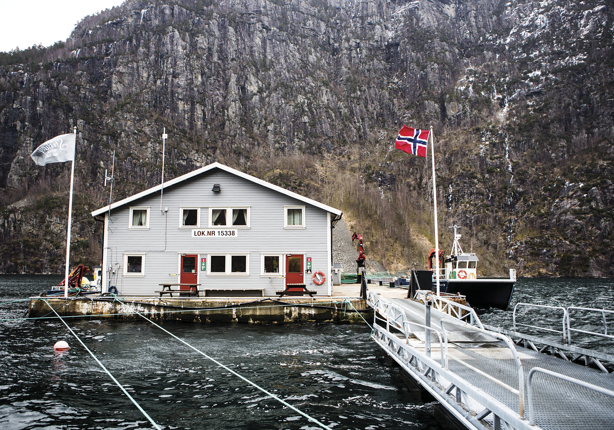 En hvit bygning ligger ved vannet med fjell i bakgrunnen, og det er flaggstenger foran bygningen, inkludert det norske flagget.
