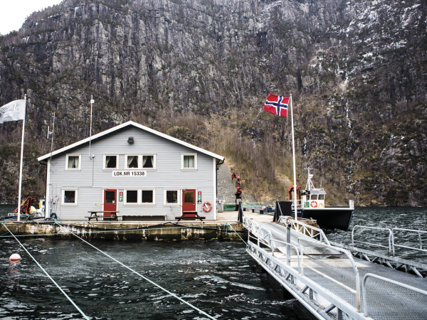 En hvit bygning ligger ved vannet med fjell i bakgrunnen, og det er flaggstenger foran bygningen, inkludert det norske flagget.
