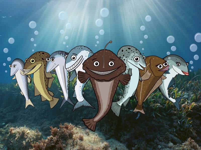 Seks ulike fisker svømmer over en undervannsbakgrunn med planter og steiner.