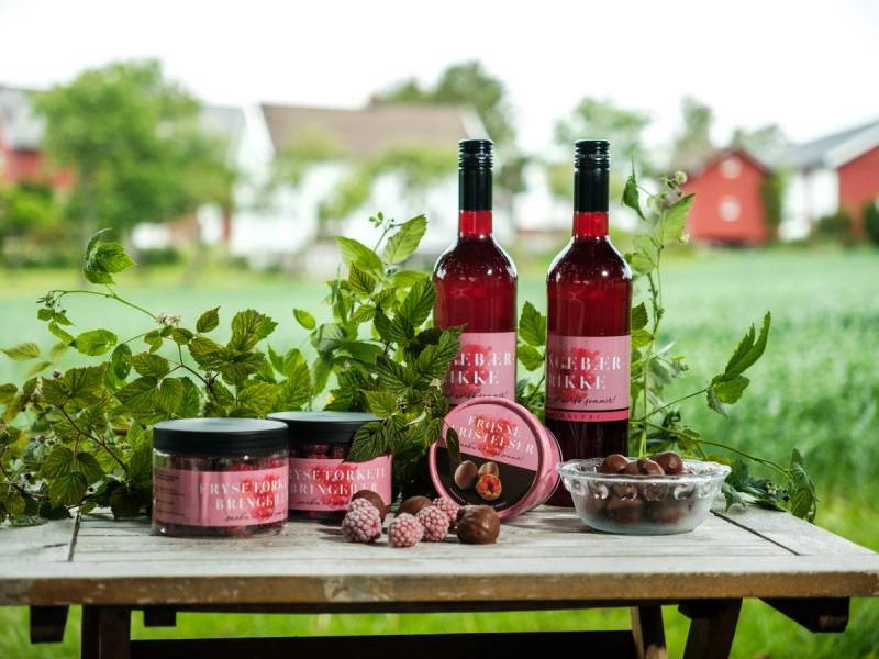 Bringebærprodukter, inkludert to flasker med bringebærjuice, bringebær i en skål og bringebærkrem, på et bord med en hage i bakgrunnen.