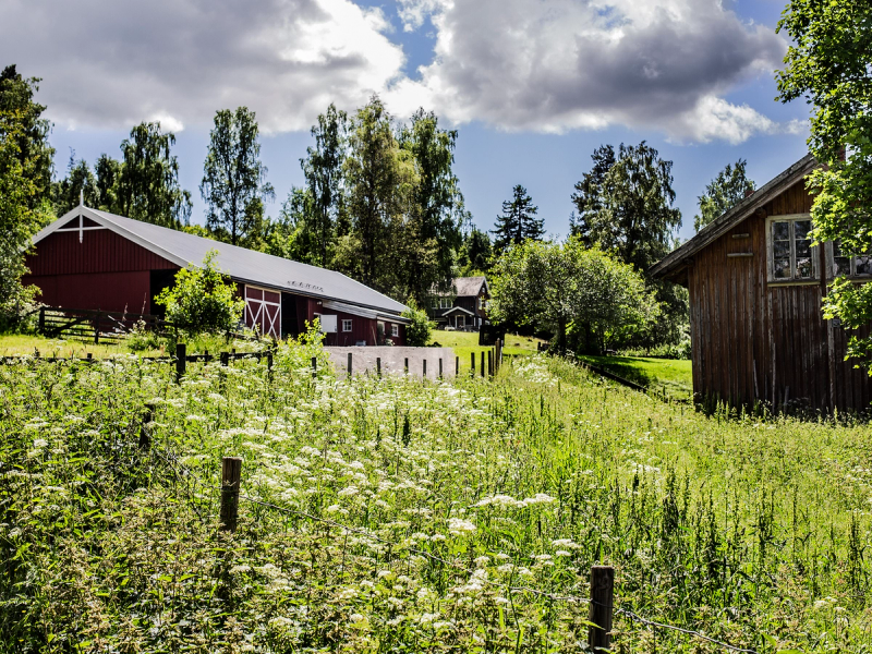 En grønn hage med blomster og trær, omgitt av gamle trebygninger under en skyet himmel.