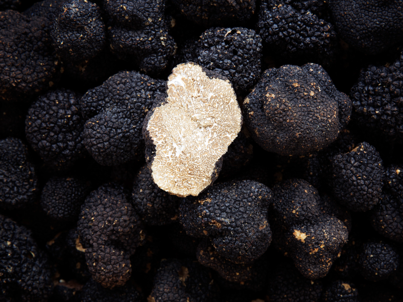 Trøfler ligger blant svarte bær eller fruktknoller, med en lysere, uregelmessig form på en av dem.