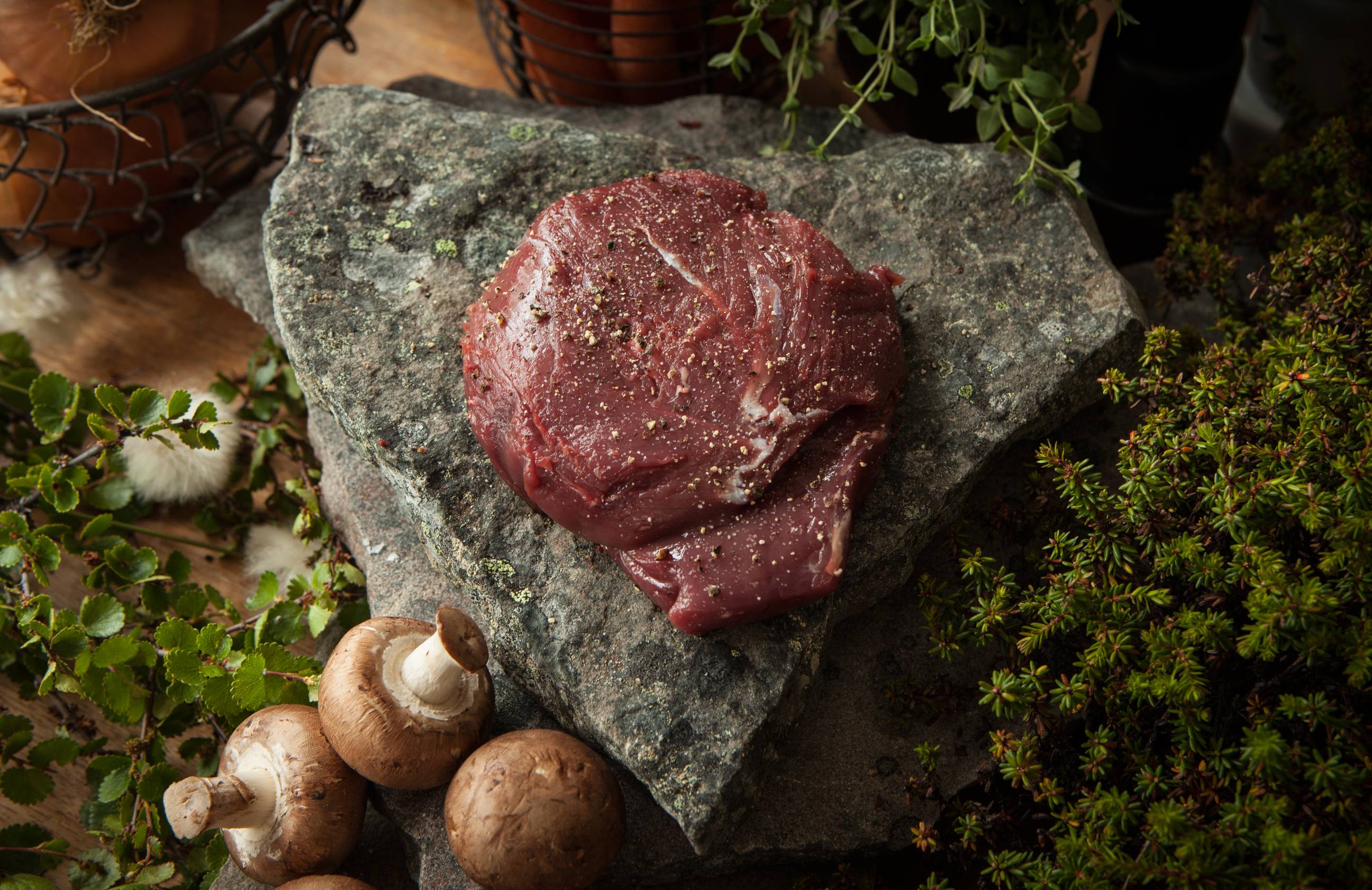 Et stykke rått kjøtt plassert på en stein omgitt av sopp og grønne planter.