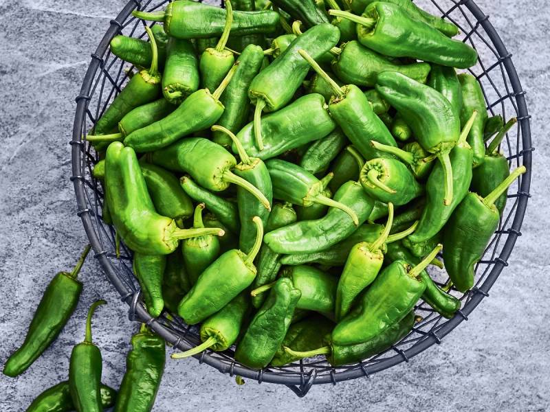 En kurv med grønne padron-pepper på en grå overflate