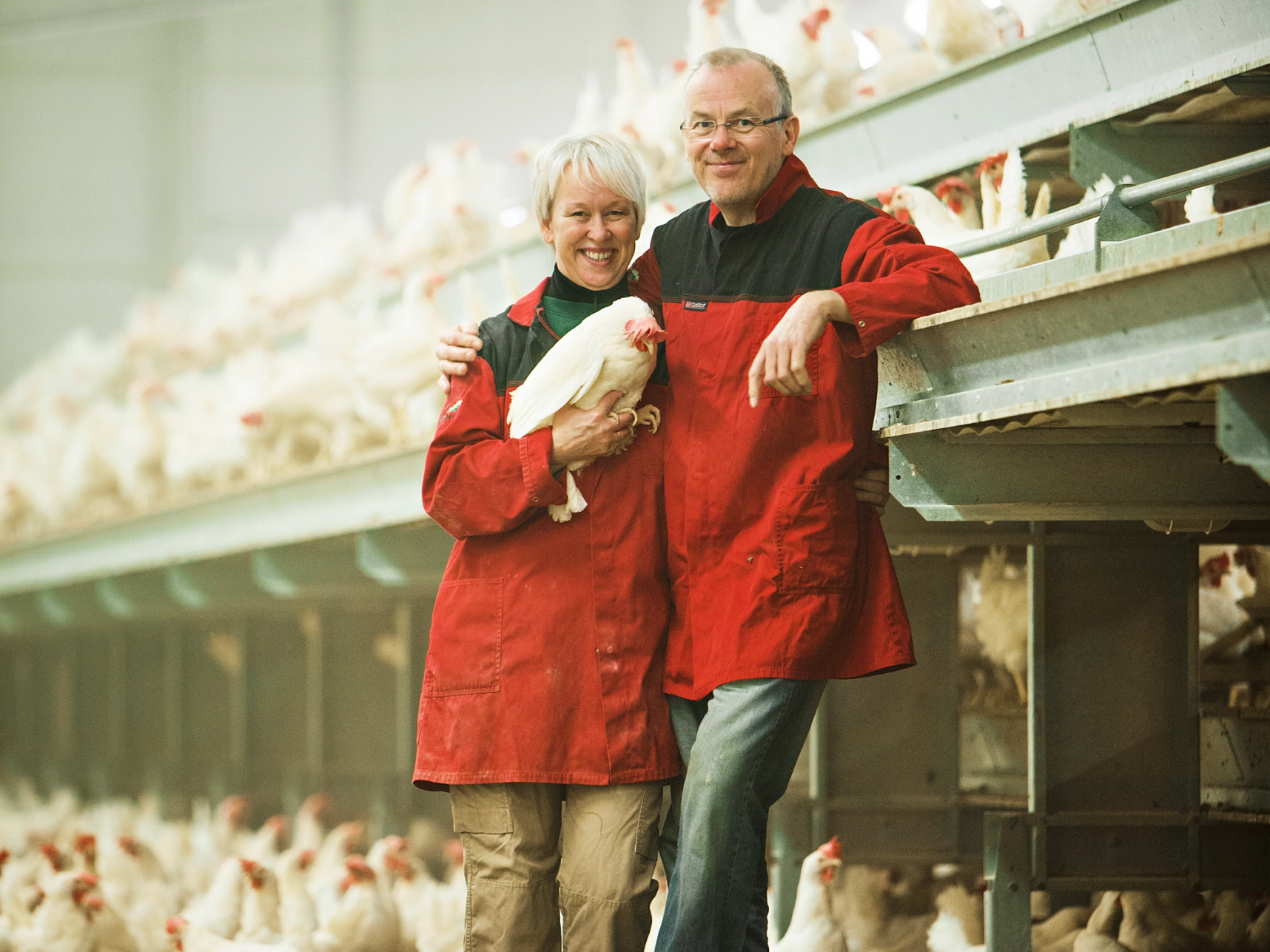 To personer står i en fjøssal med høner, hvor den ene holder en høne i armene, og begge har på seg røde jakker.