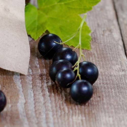 Klyngede solbær med grønne blader på en treplate.