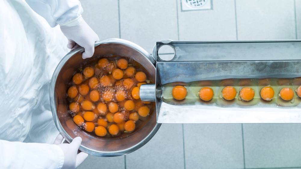 Egg pakkes i en maskin på en gårdspakkeri i Østfold, med en person som håndterer eggene.