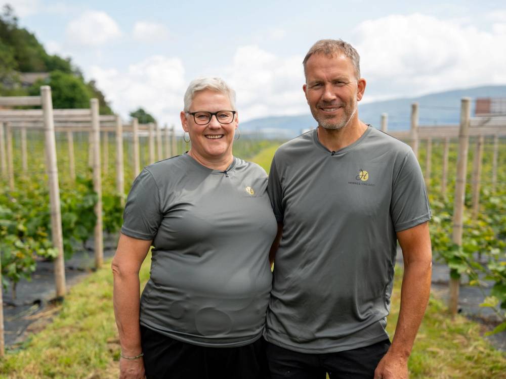 To personer står i en vinmark med trær og en fjellkjede i bakgrunnen, iført grå t-skjorter.