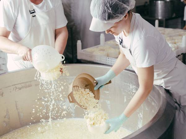 To personer som lager ost i en stor, rund ostemelke, med en person som heller ostemasse i en bøtte, på et kjøkken.