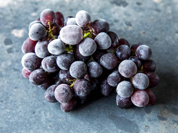 Frosne druer i en klase på en grå overflate