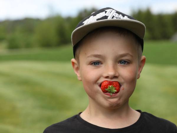 Et barn med caps står ute i grønt landskap, sannsynligvis på en jordbærgård i Østfold.