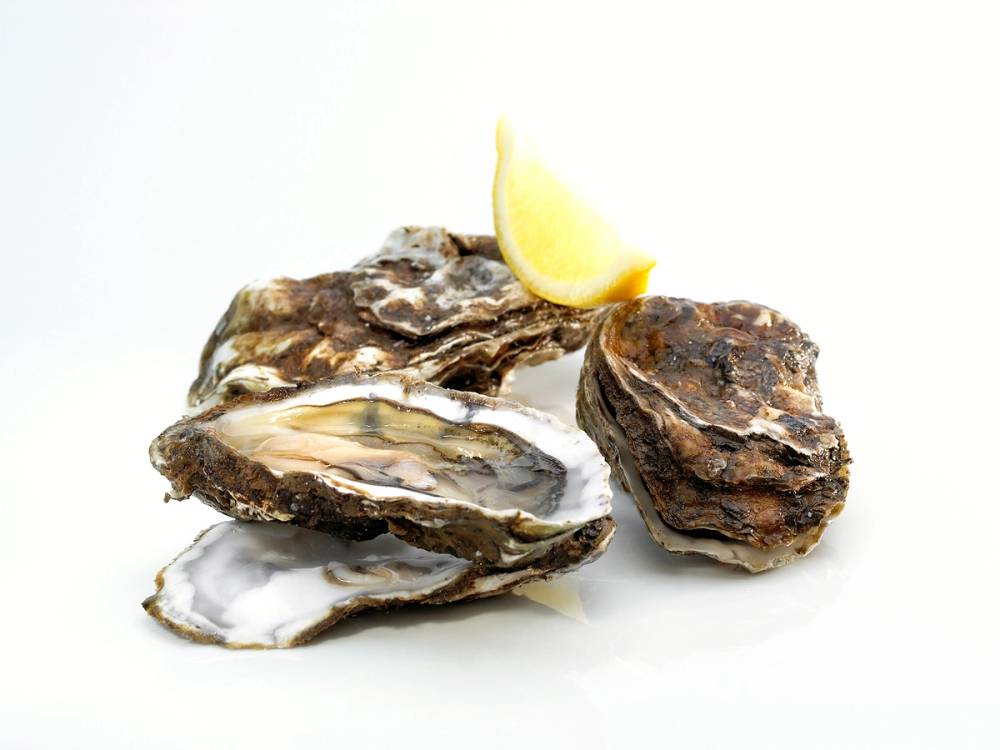 Skjell med en sitronbåt på toppen, antakeligvis østers, på en hvit bakgrunn.