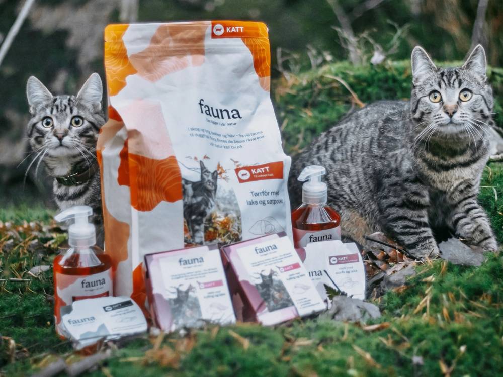 To katter som sitter ved siden av ulike poser og flasker med fauna kattemat utendørs på gress, omgitt av grønt gress og planter.