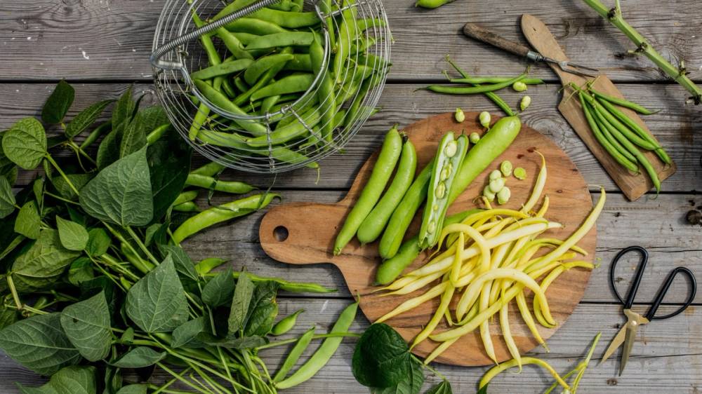 Ferske grønne bønner og gule bønner på et skjærebrett med urter og kjøkkenutstyr rundt.