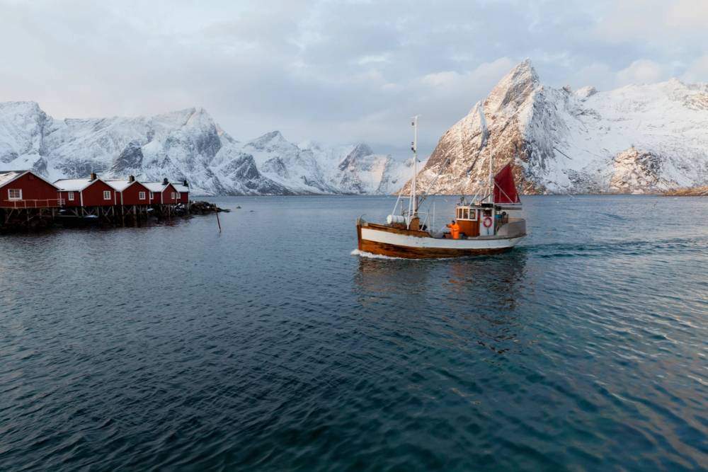 En liten båt seiler i fjorden med røde fiskebåter og snødekte fjell i bakgrunnen i Lofoten.