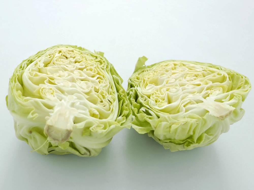 To halvdeler av kokt sommerkaal med lysegrønt bladverk på en hvit bakgrunn