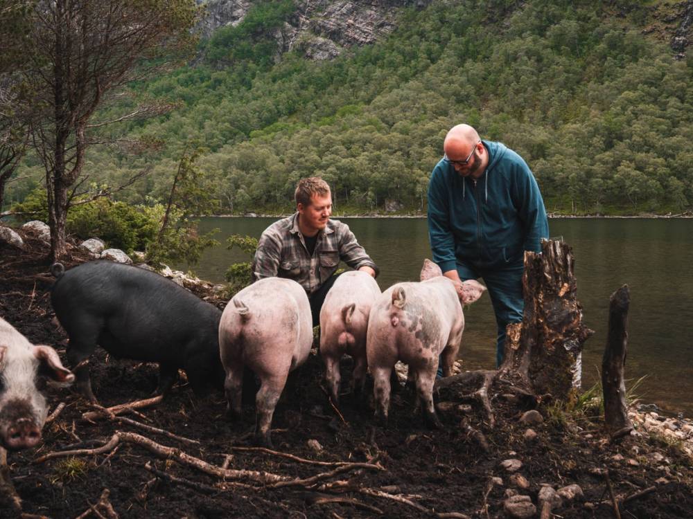 To menn med grå og blå klær passer på griser ved en innsjø omgitt av trær og fjell, på Espen Bjuland gård.