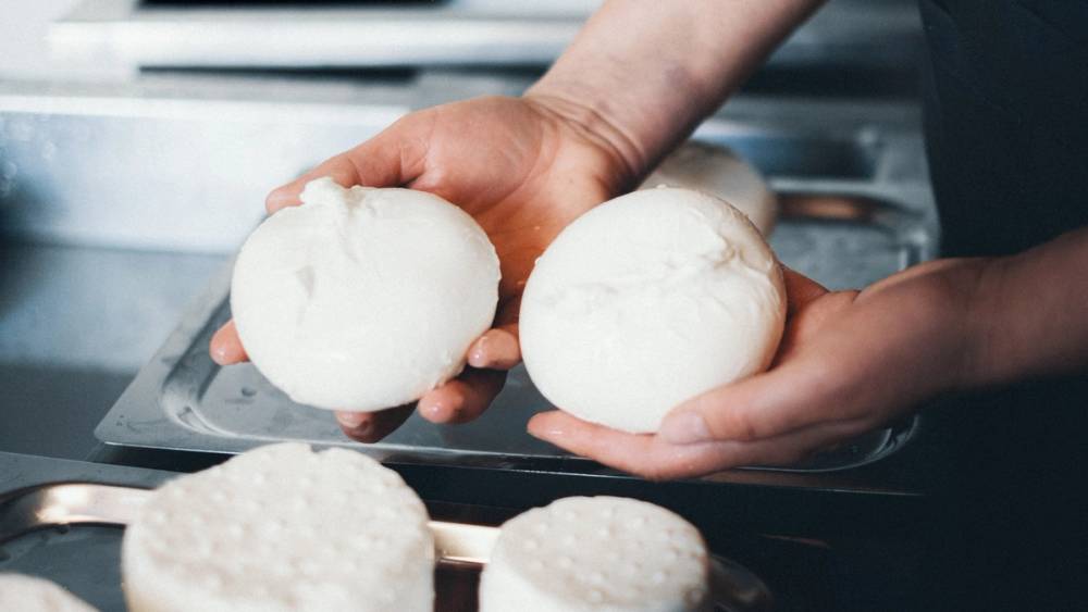 To personer holder hver sin store, hvite osteball over et kjøkkenbord med flere osteballer foran seg.